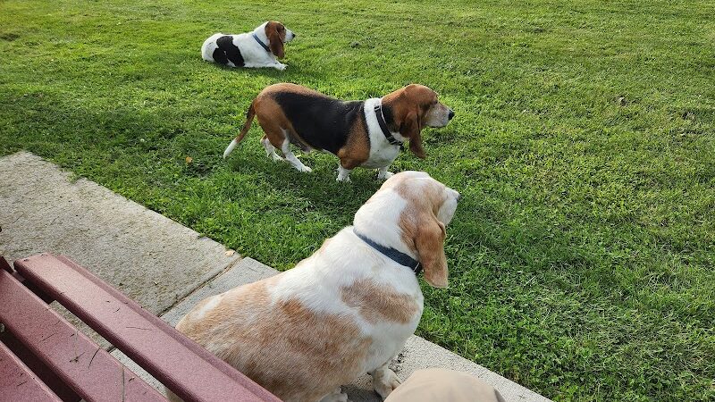 Woodsdale Park - Toledo, OH