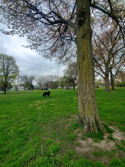 Woodsdale Park - Toledo, OH