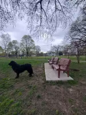 Woodsdale Park - Toledo, OH