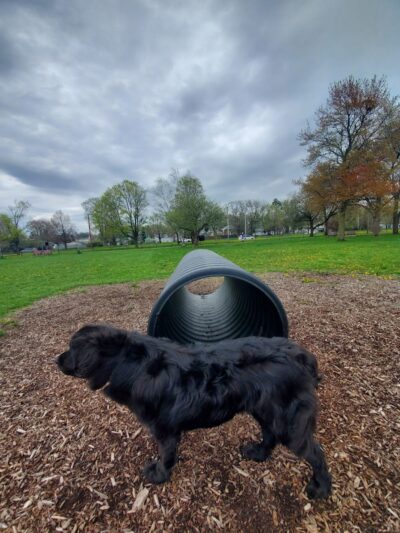Woodsdale Park - Toledo, OH