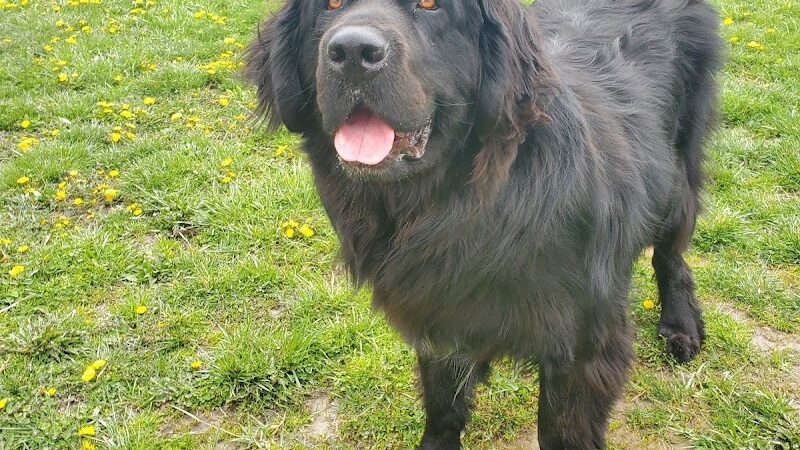 Woodsdale Park - Toledo, OH