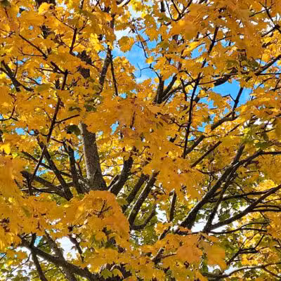 Trenton Community Park - Trenton, OH