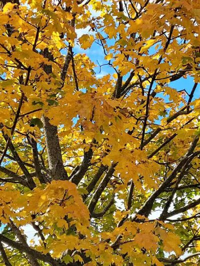 Trenton Community Park - Trenton, OH