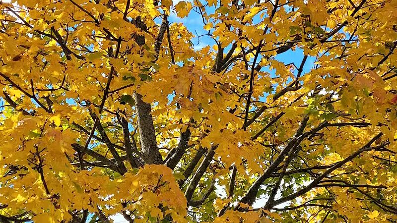 Trenton Community Park - Trenton, OH