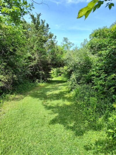 Trail Head - Trotwood, OH