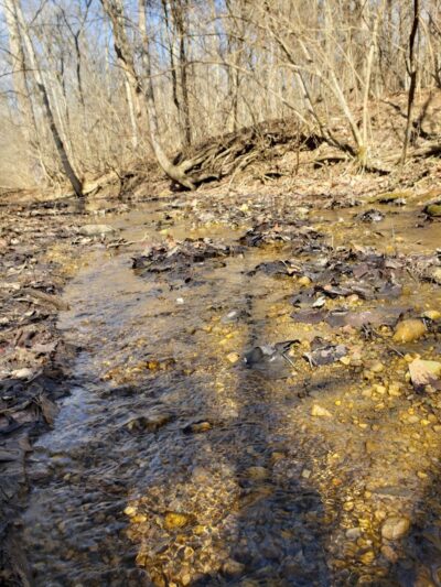Trail Head - Trotwood, OH