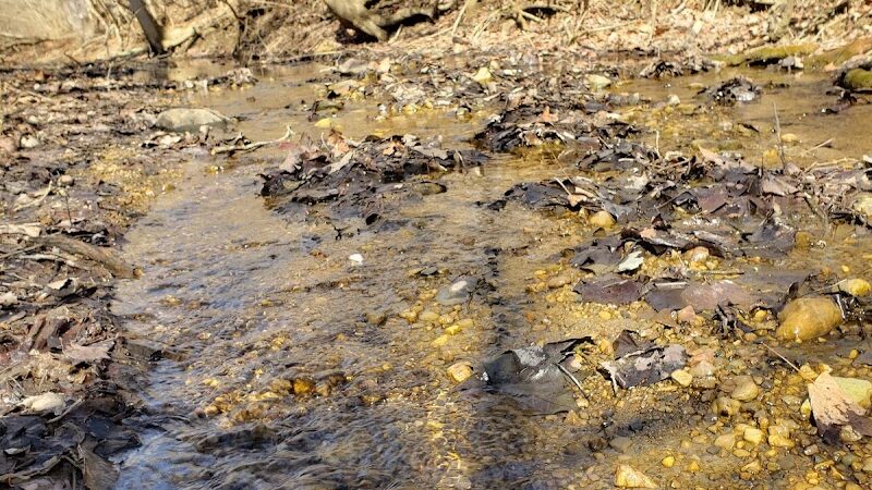 Trail Head - Trotwood, OH