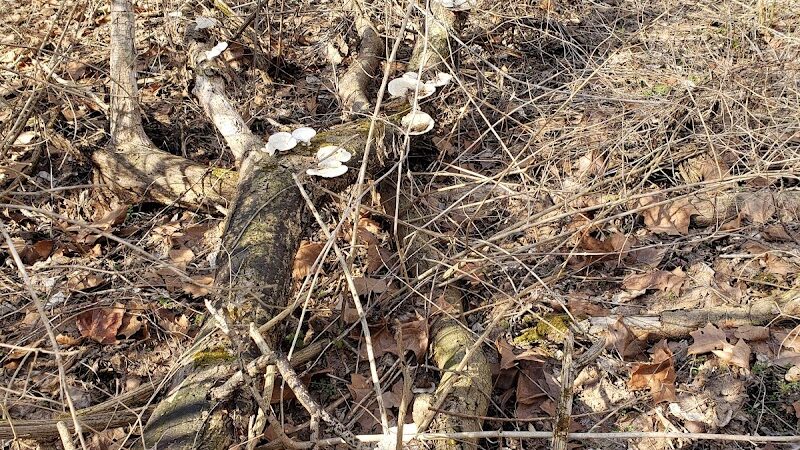 Trail Head - Trotwood, OH