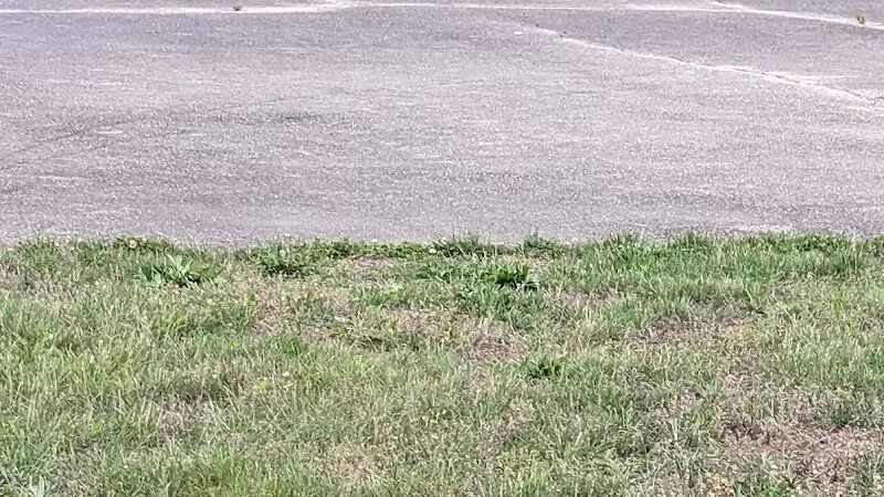 Boyer Park - Troy, OH