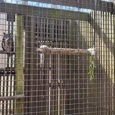 Brukner Nature Center - Troy, OH