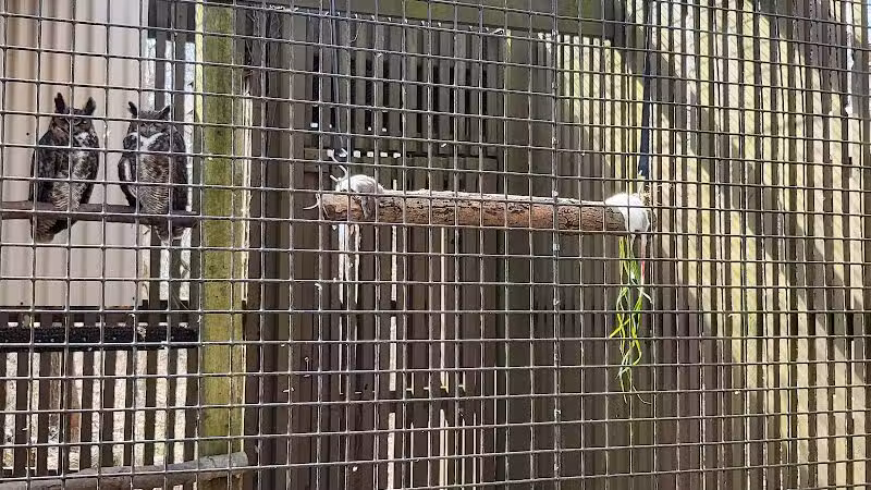 Brukner Nature Center - Troy, OH