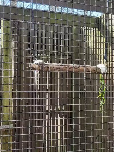 Brukner Nature Center - Troy, OH
