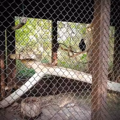 Brukner Nature Center - Troy, OH