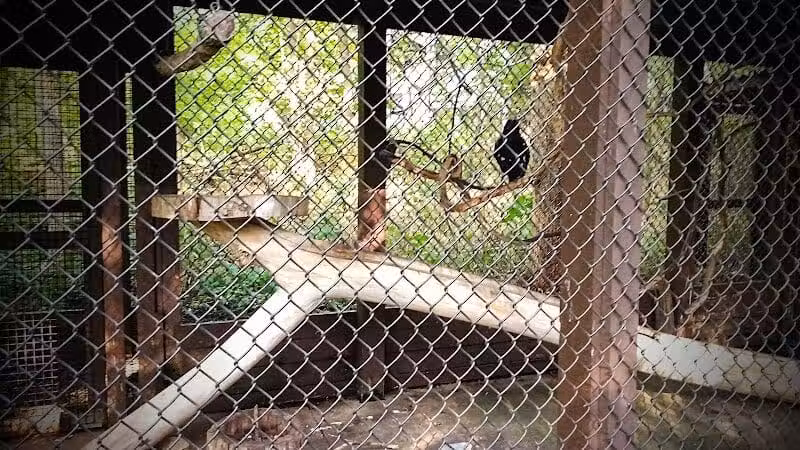 Brukner Nature Center - Troy, OH