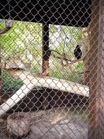 Brukner Nature Center - Troy, OH