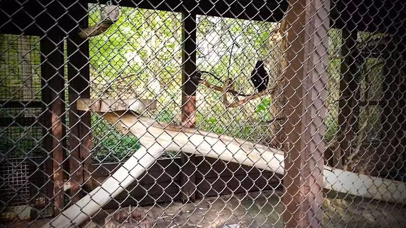 Brukner Nature Center - Troy, OH