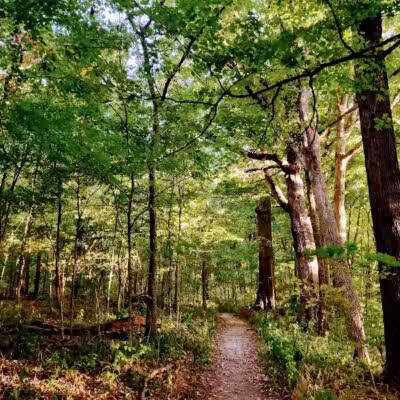 Brukner Nature Center - Troy, OH