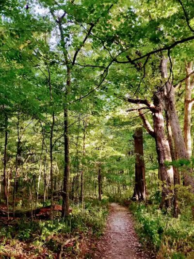 Brukner Nature Center - Troy, OH