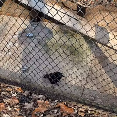 Brukner Nature Center - Troy, OH