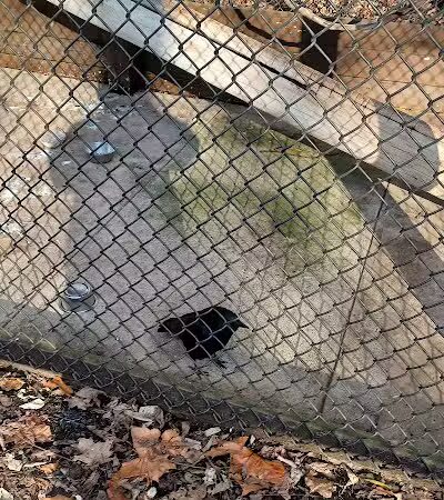 Brukner Nature Center - Troy, OH