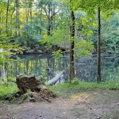 Brukner Nature Center - Troy, OH