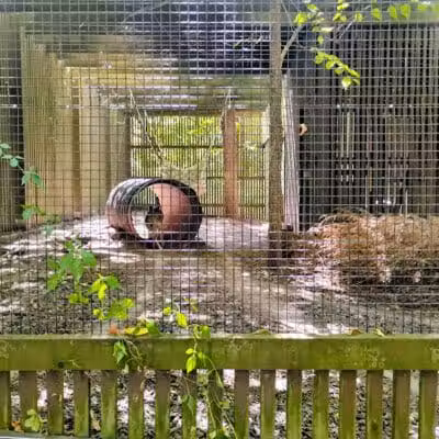 Brukner Nature Center - Troy, OH