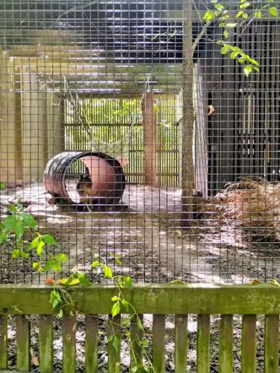 Brukner Nature Center - Troy, OH