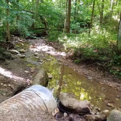 Brukner Nature Center - Troy, OH