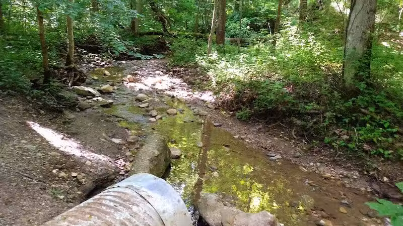 Brukner Nature Center - Troy, OH