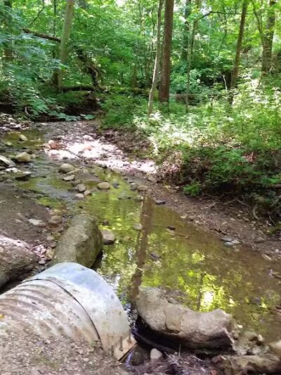 Brukner Nature Center - Troy, OH