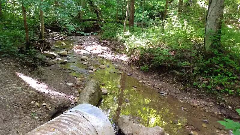 Brukner Nature Center - Troy, OH