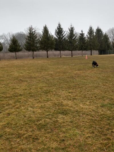 Duke Park - Troy, OH