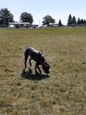 Duke Park - Troy, OH