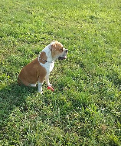 Duke Park - Troy, OH