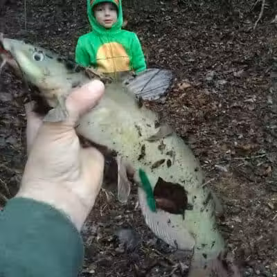 Great Miami River Recreational Trail - Troy, OH