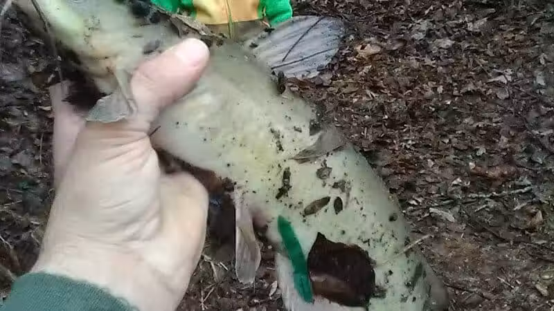 Great Miami River Recreational Trail - Troy, OH