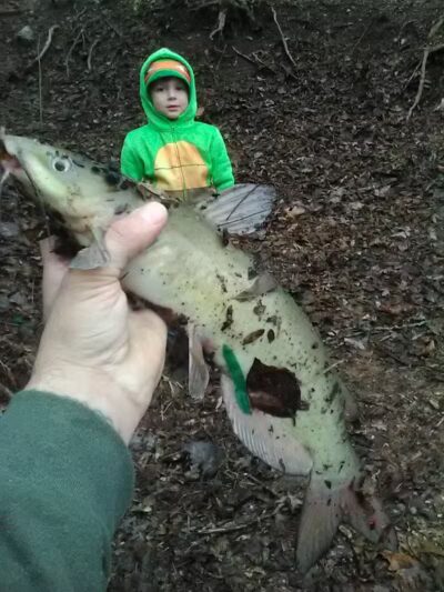 Great Miami River Recreational Trail - Troy, OH