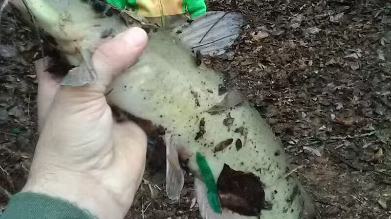 Great Miami River Recreational Trail - Troy, OH