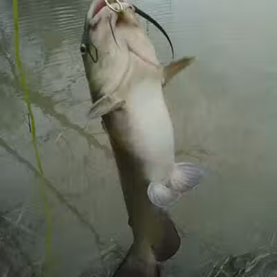 Great Miami River Recreational Trail - Troy, OH