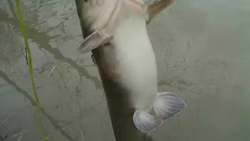 Great Miami River Recreational Trail - Troy, OH