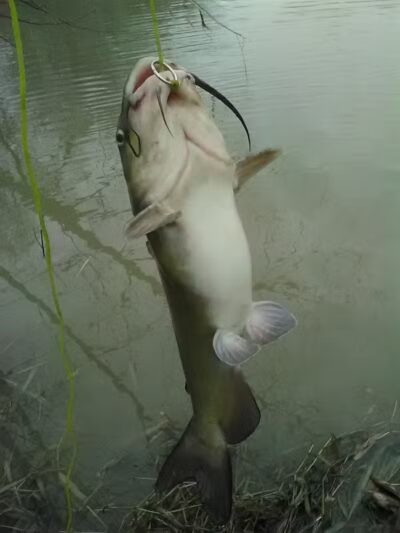 Great Miami River Recreational Trail - Troy, OH