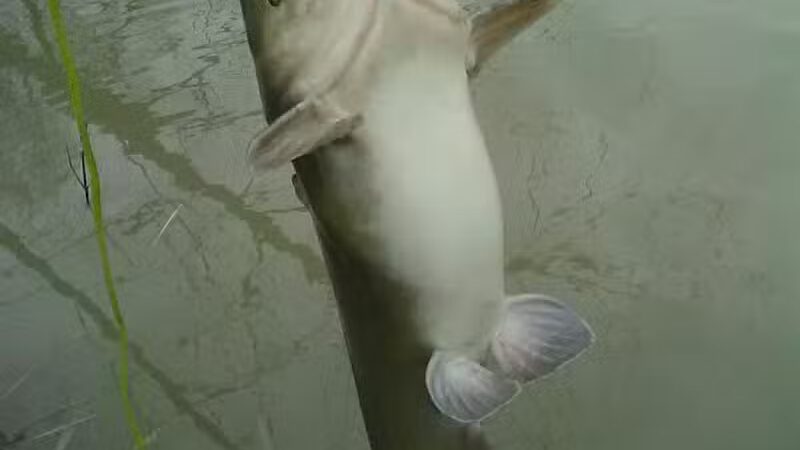 Great Miami River Recreational Trail - Troy, OH