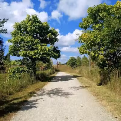 Hobart Urban Nature Preserve - Troy, OH
