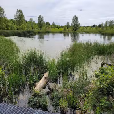 Hobart Urban Nature Preserve - Troy, OH