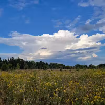 Hobart Urban Nature Preserve - Troy, OH
