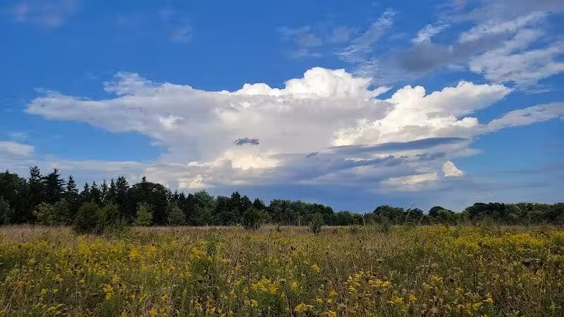 Hobart Urban Nature Preserve - Troy, OH