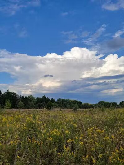 Hobart Urban Nature Preserve - Troy, OH