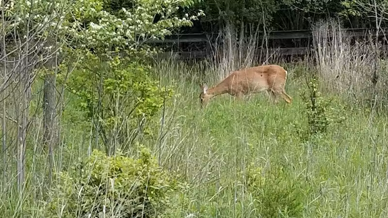Hobart Urban Nature Preserve - Troy, OH