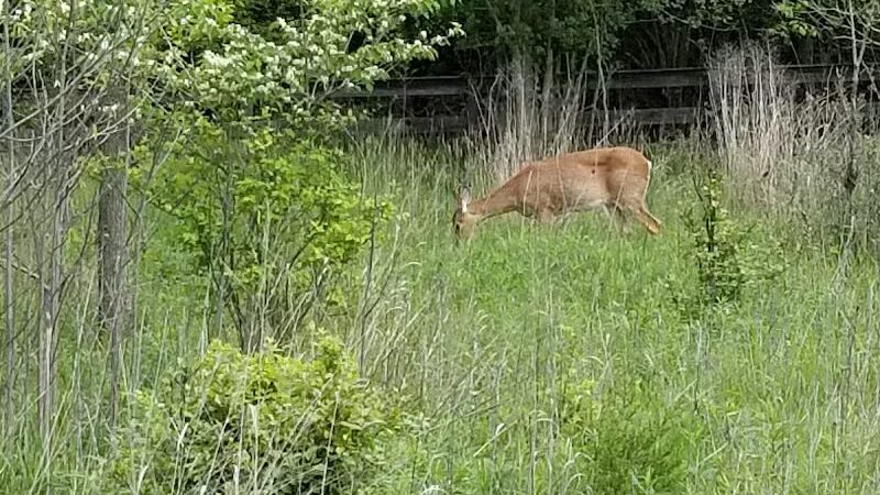 Hobart Urban Nature Preserve - Troy, OH