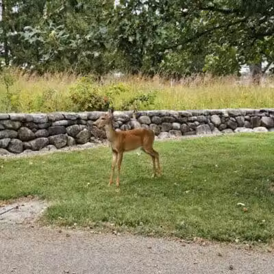 Hobart Urban Nature Preserve - Troy, OH